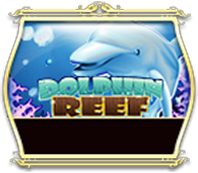 Dolphin Reef