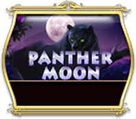 Panther Moon