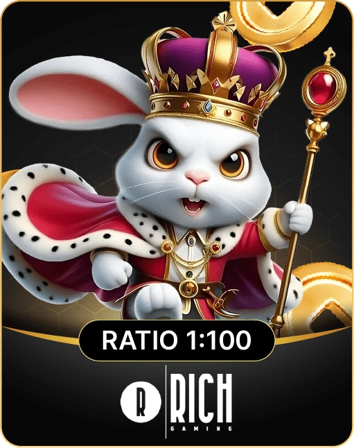 Rich Gaming provider logo